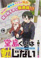 古风百合动漫银线绣春封面